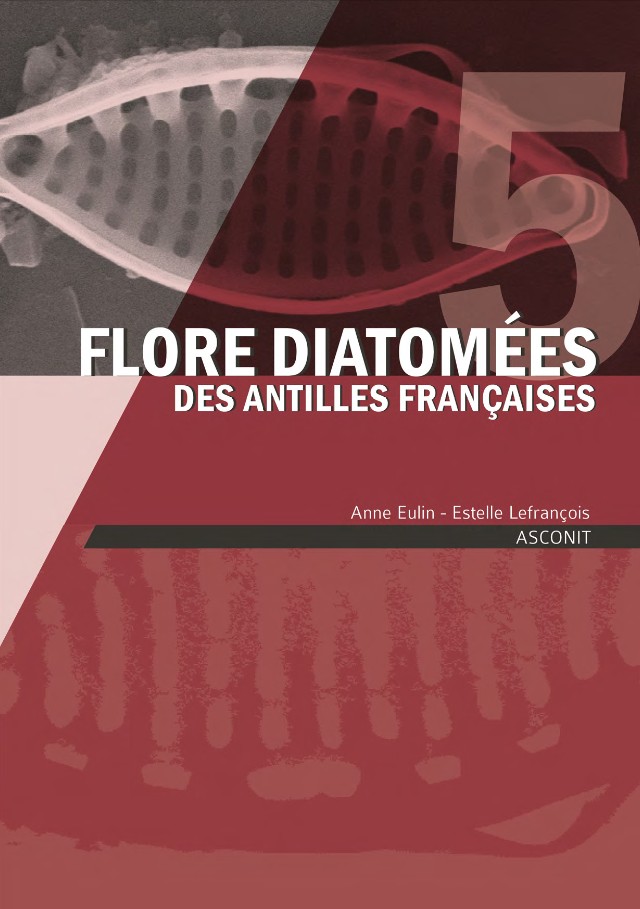 Flore diatomées des Antilles françaises - Volume 5